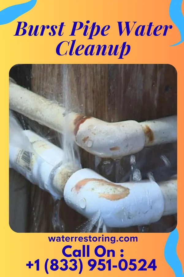 Burst Pipe Water Cleanup in Sheboygan Falls, WI