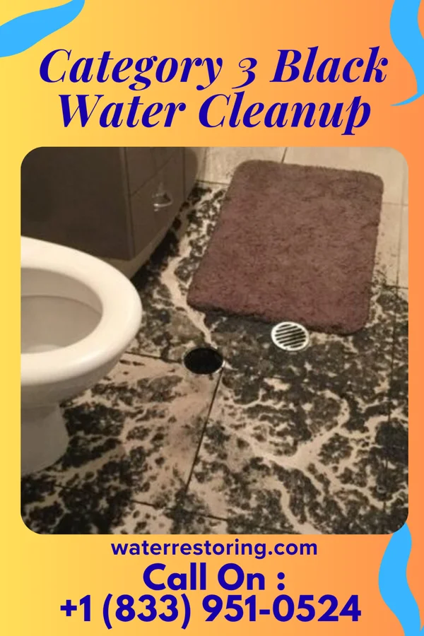 Category 3 Black Water Cleanup in Sheboygan Falls, WI
