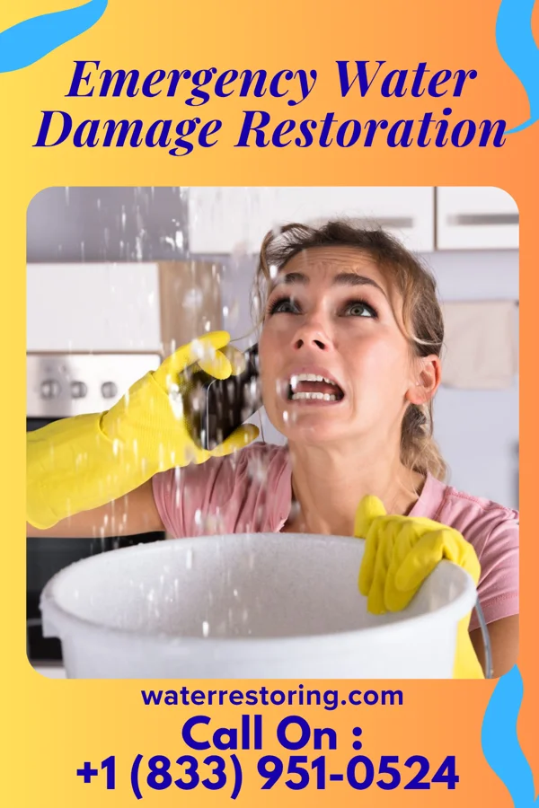 Emergency Water Damage Restoration in Sheboygan Falls, WI