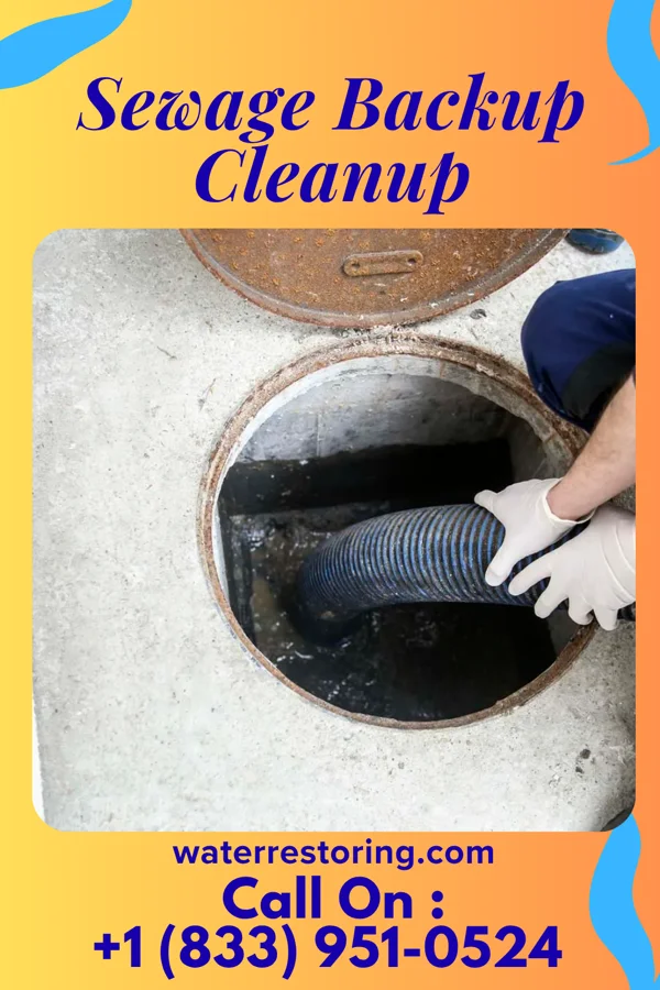 Sewage Backup Cleanup in Sheboygan Falls, WI