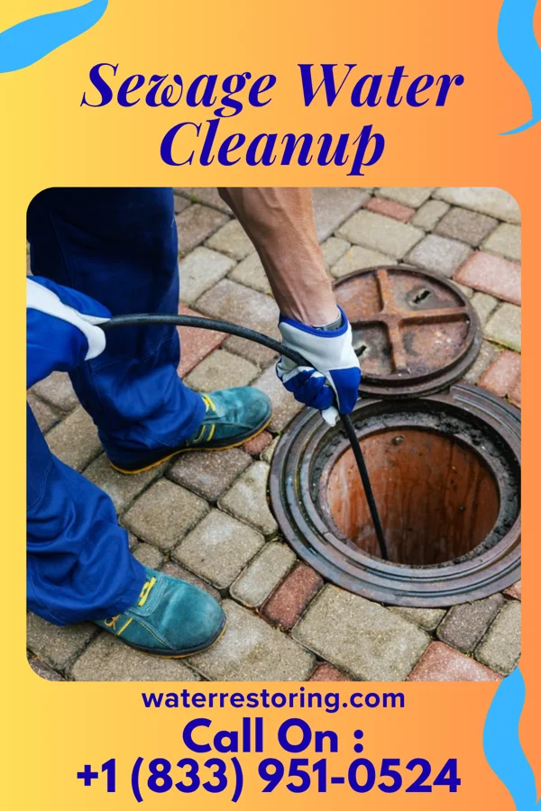 Sewage Water Cleanup in Sheboygan Falls, WI